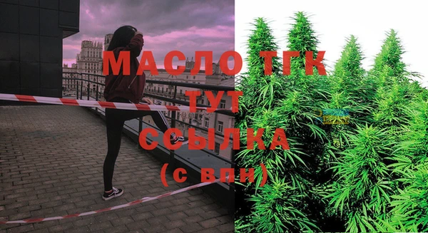 эйфоретик Богородск