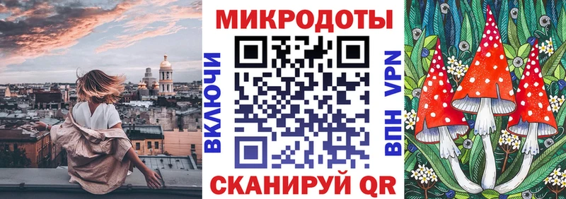 гидра   Дятьково  Псилоцибиновые грибы Cubensis 